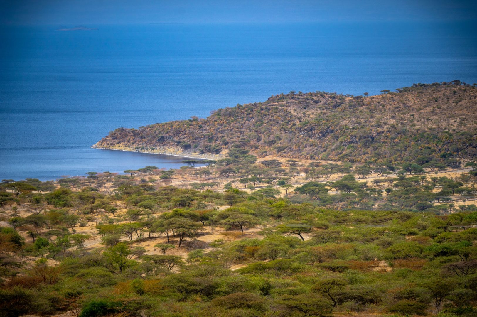 Central Rift Valley Lakes