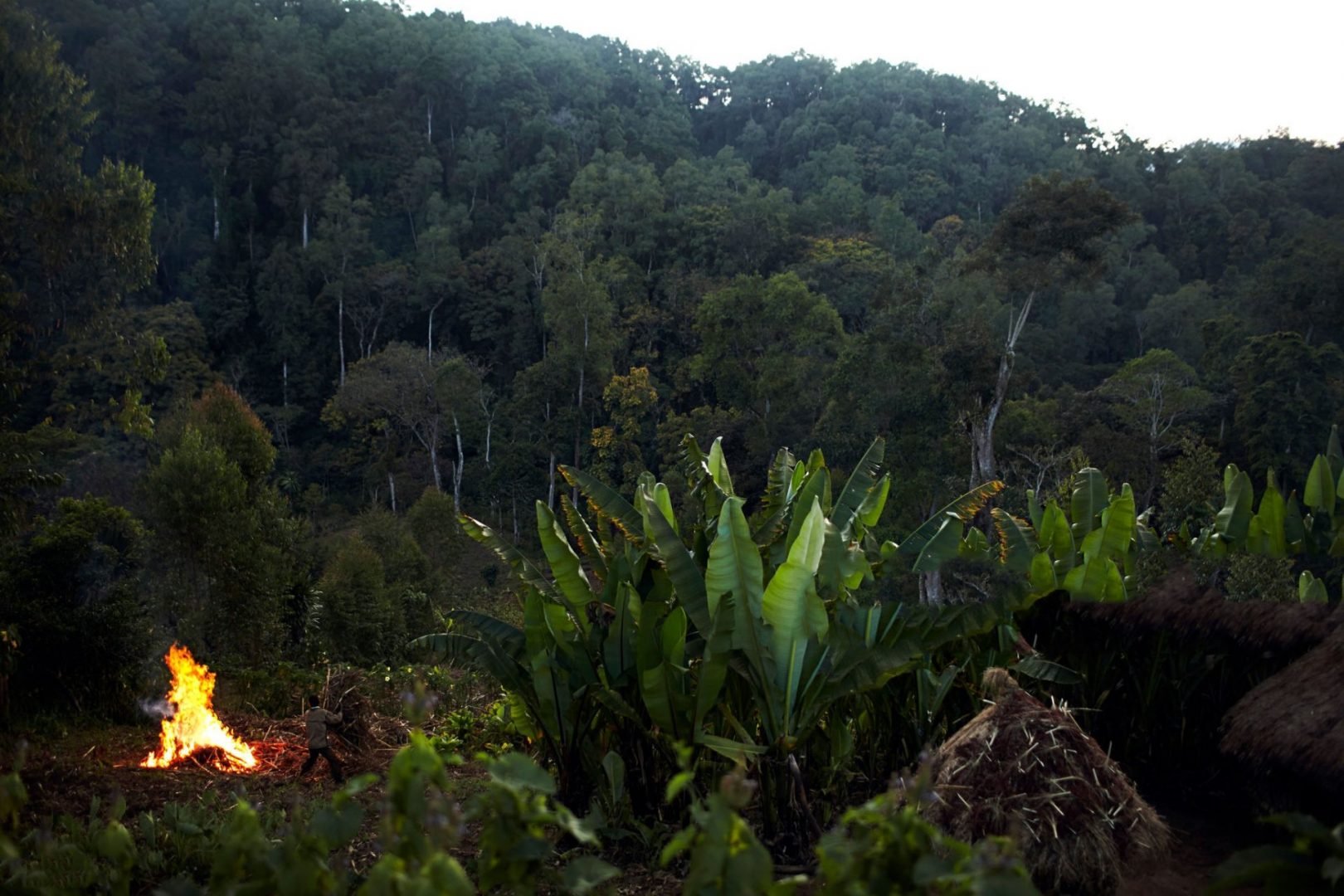 Kafa Biosphere Reserve